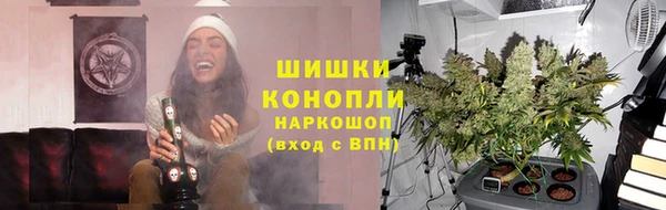 трава Новодвинск