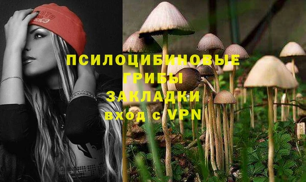 марки lsd Новозыбков