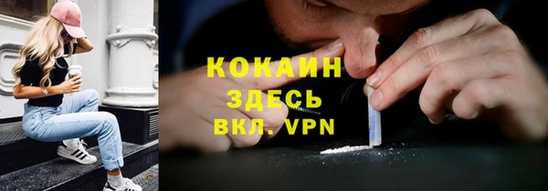 PSILOCYBIN Новокубанск
