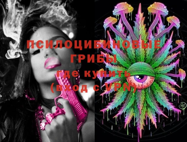 трава Новодвинск