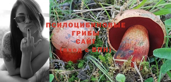 PSILOCYBIN Новокубанск