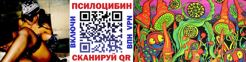 как найти закладки  Новопавловск  blacksprut tor  Галлюциногенные грибы GOLDEN TEACHER 