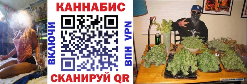 MEGA зеркало  Новопавловск  Каннабис MAZAR 